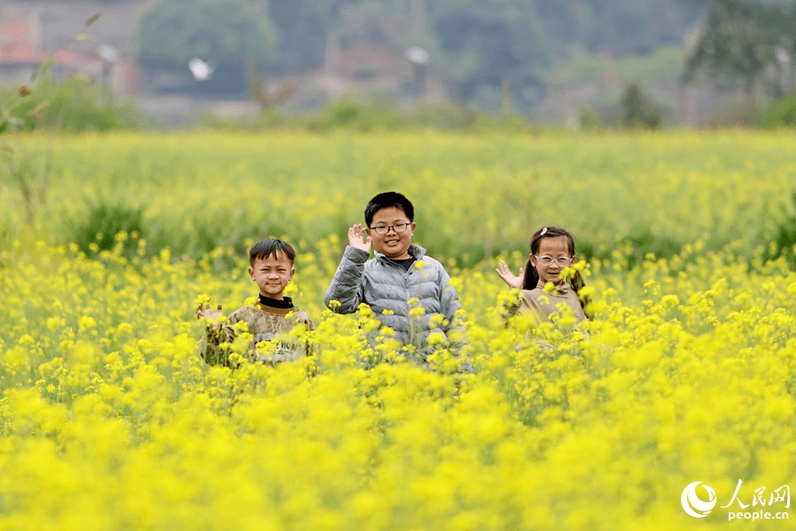 In pics: rapeseed flowers in full bloom in village in SE China's Fujian-9