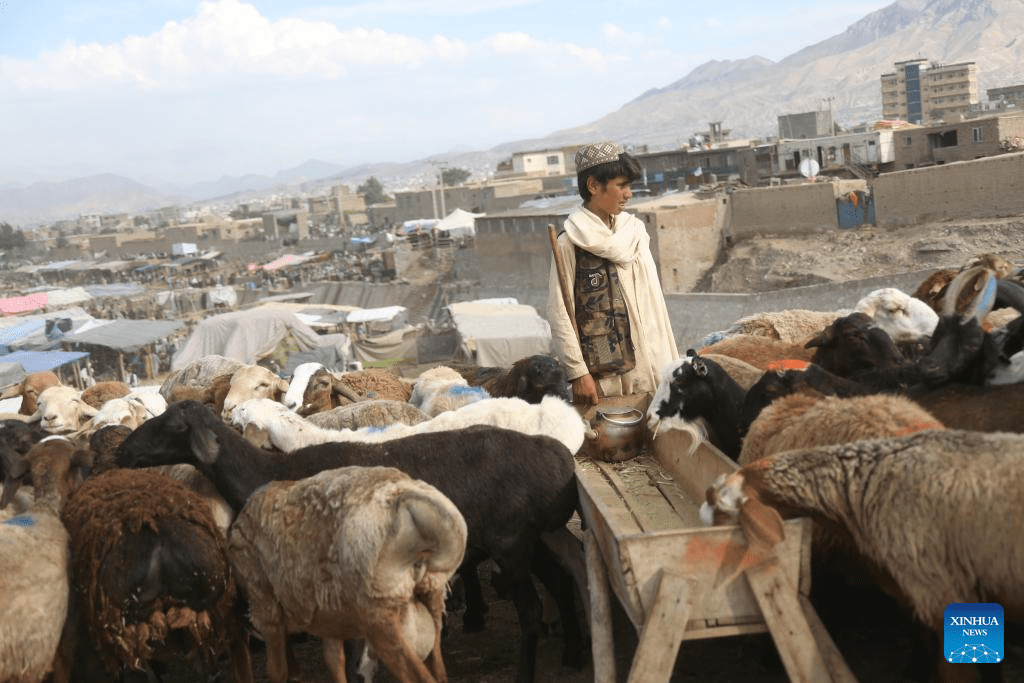 Chinese team holds heritage protection class for Afghan students-6