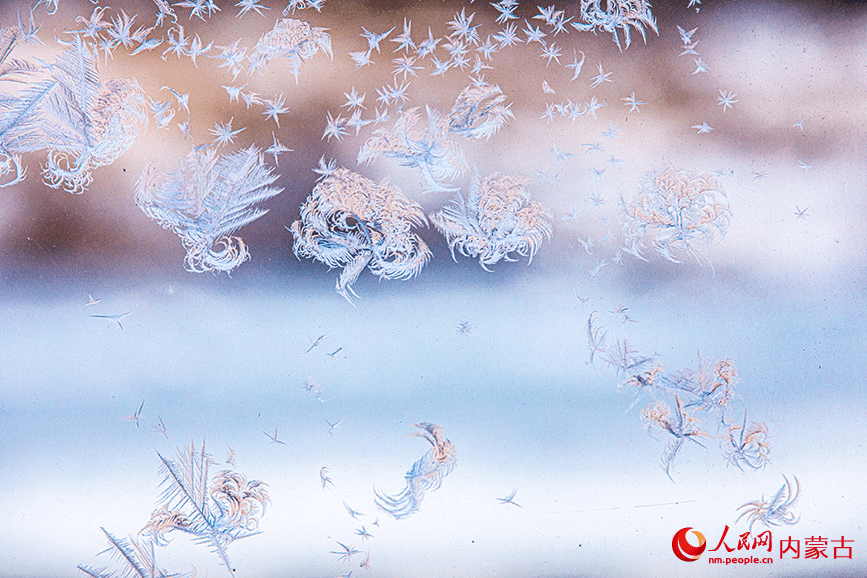 Winter's delicate artwork: Ice forms flower patterns on windows in N China-4