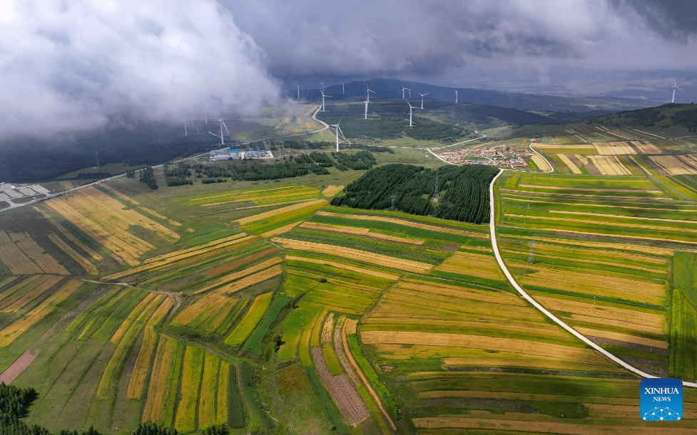 Autumn scenery in N China-1