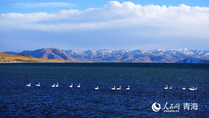 In pics: spectacular scenery of Donggi Cona Lake in NW China's Qinghai-1