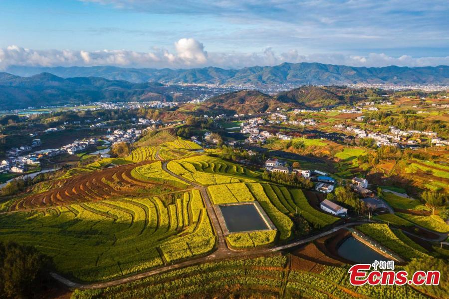 Autumn turns terraced fields into color palette in Hubei-2