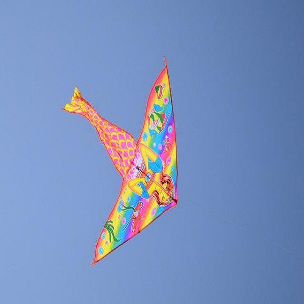 Weifang Kites-1