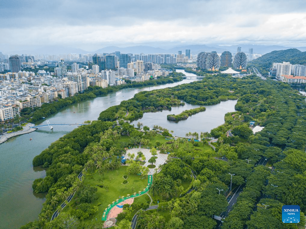 Summer scenery of Sanya, S China-3