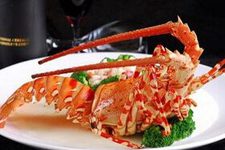 Australian Lobster Recipes-3