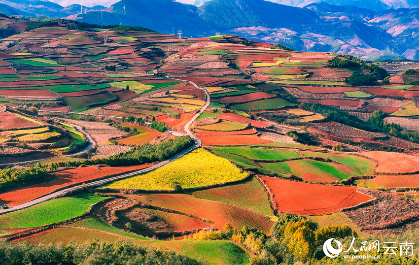 In pics: Colorful terraced fields in SW China's Yunnan resemble palette-2