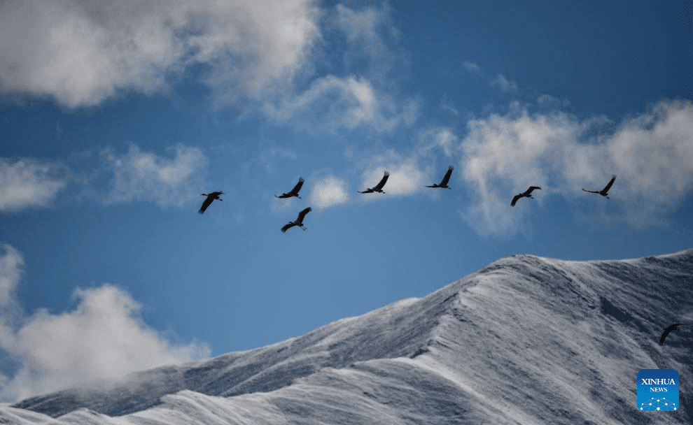 Snow scenery of Lhasa, SW China-6