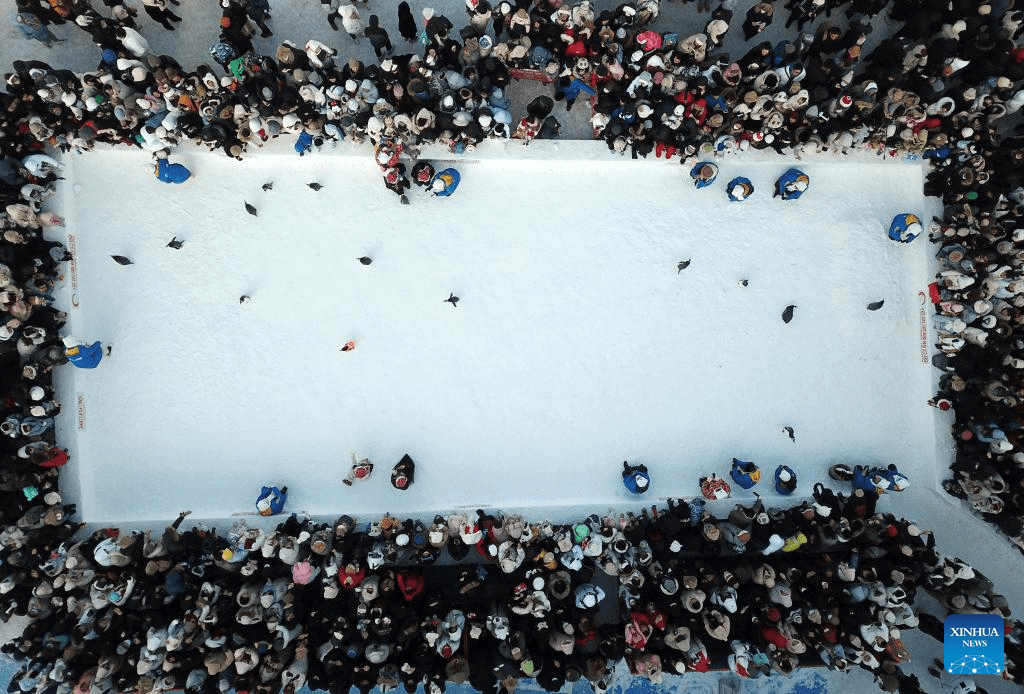 Harbin emerges as one of top tourist destinations in China this winter-16