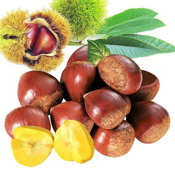 Longlin Chestnuts-1