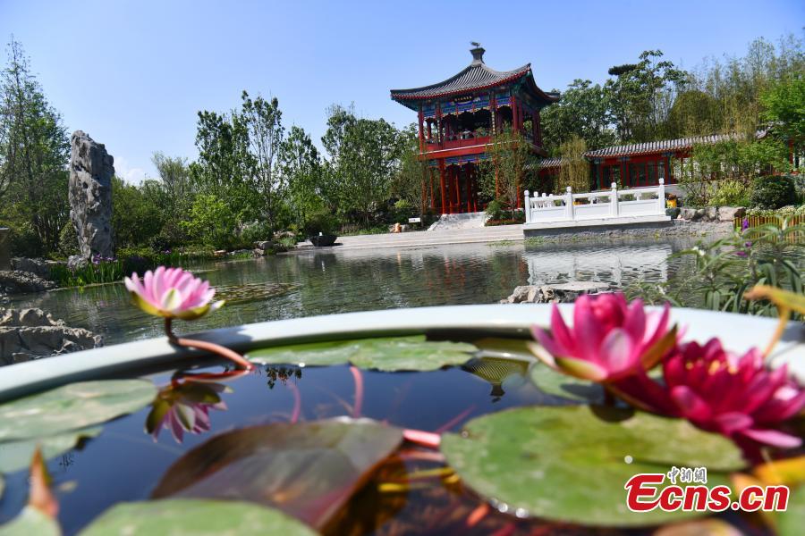 Preview of International Horticultural Exhibition 2024 Chengdu-3