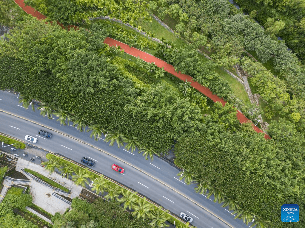 Summer scenery of Sanya, S China-7