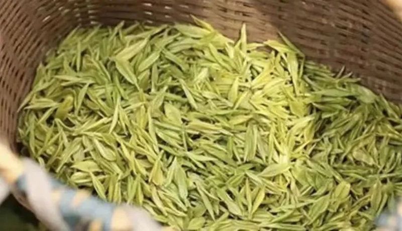 What is Mogan Yellow Bud Tea?-1