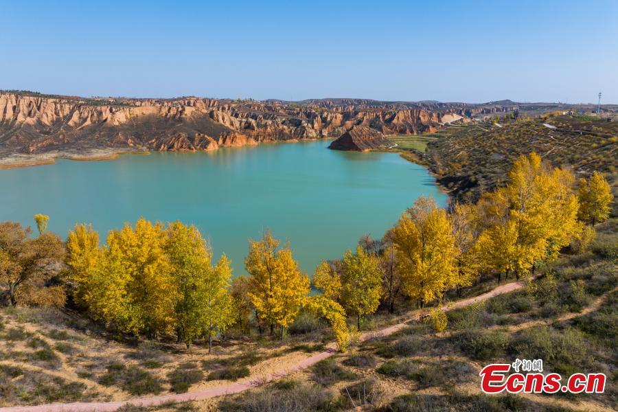 Magnificent scenery of Mahuangliang Loess Geopark in Shaanxi-3