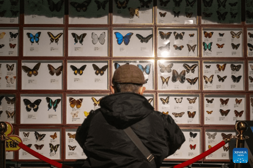 People visit China (Harbin) Forest Museum-6