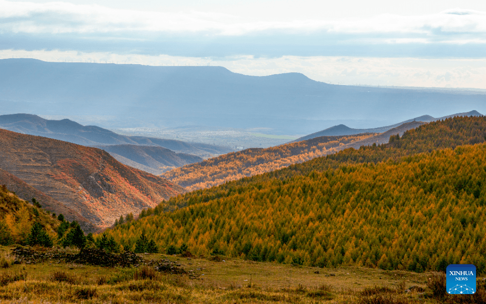 Autumn scenery in N China-4