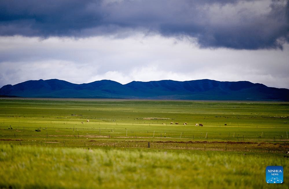 Scenery of grassland in north China's Inner Mongolia-2