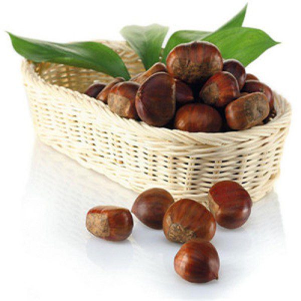 Xingtai Chestnuts-1