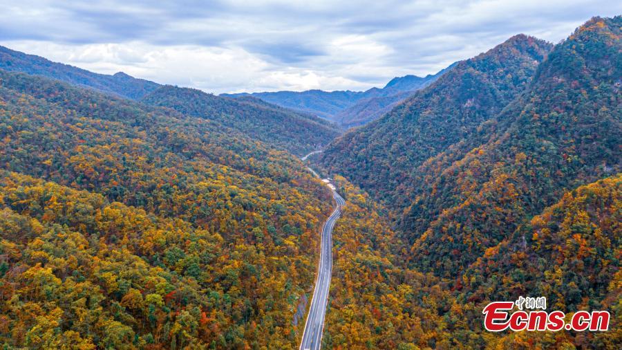 Fall colors paint Shengnongjia National Park-7