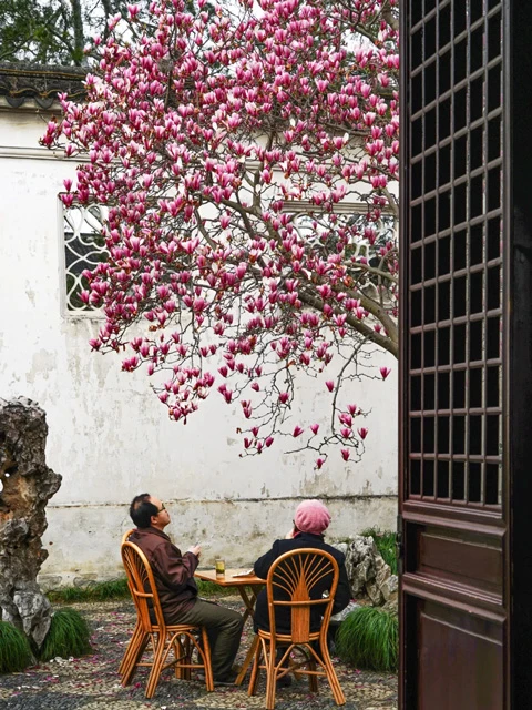 Suzhou Gardens: The Art and Soul of Chinese Classical Gardens-3