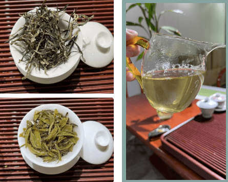 Puer Tea Culture of Menghai County ①-3