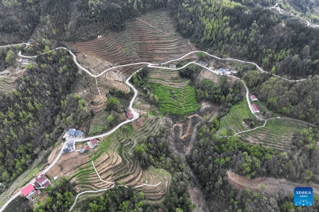 Scenery of Gouyuan Township in Xunyang, NW China's Shaanxi-5