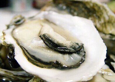 Oyster Recipes