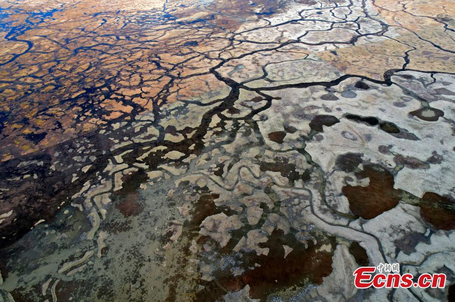 Landscape of meadow wetland in Lhasa-3