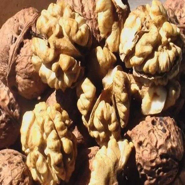 Jingdong Walnuts-1