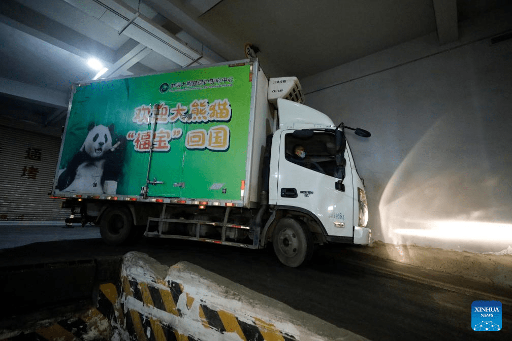 ROK-born giant panda Fu Bao returns to China-4