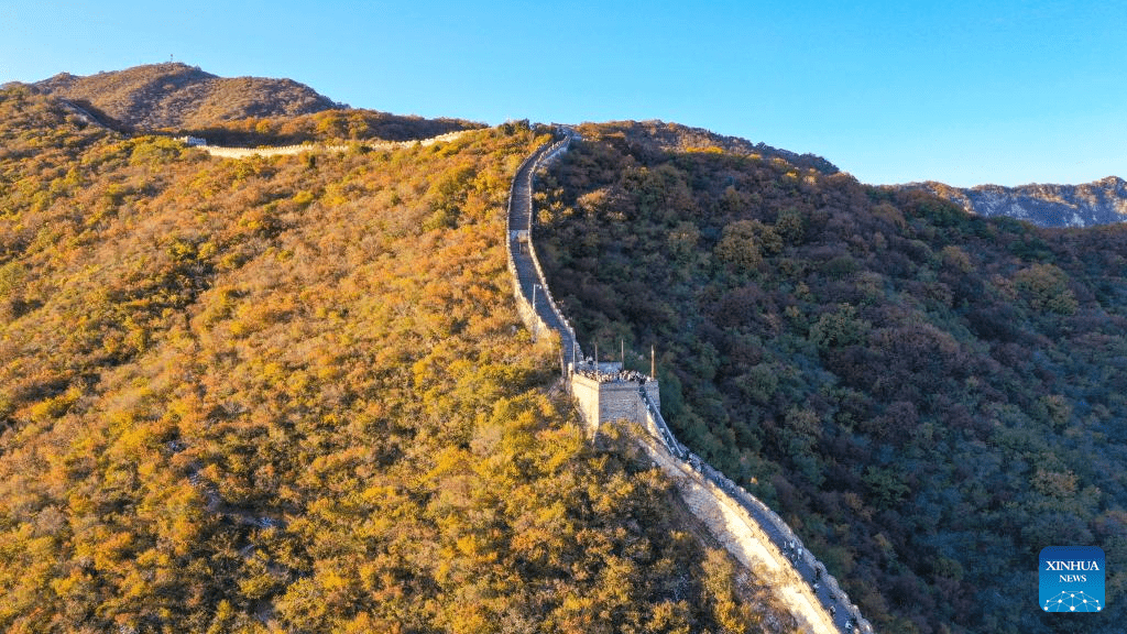 Autumn scenery of Mutianyu section of Great Wall in Beijing-15