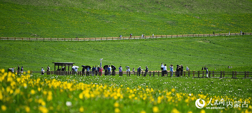 Picturesque summer view in N China's Ulgai Grassland-2