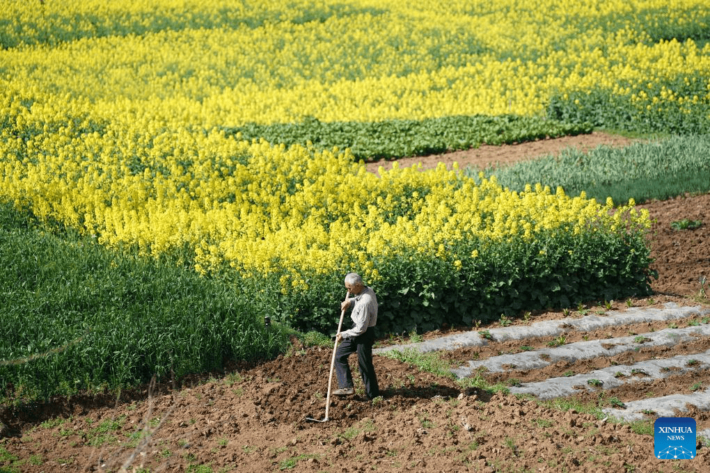 Scenery of Gouyuan Township in Xunyang, NW China's Shaanxi-3