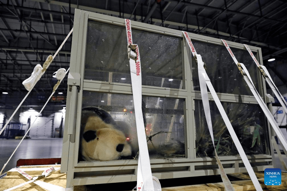 ROK-born giant panda Fu Bao returns to China-12