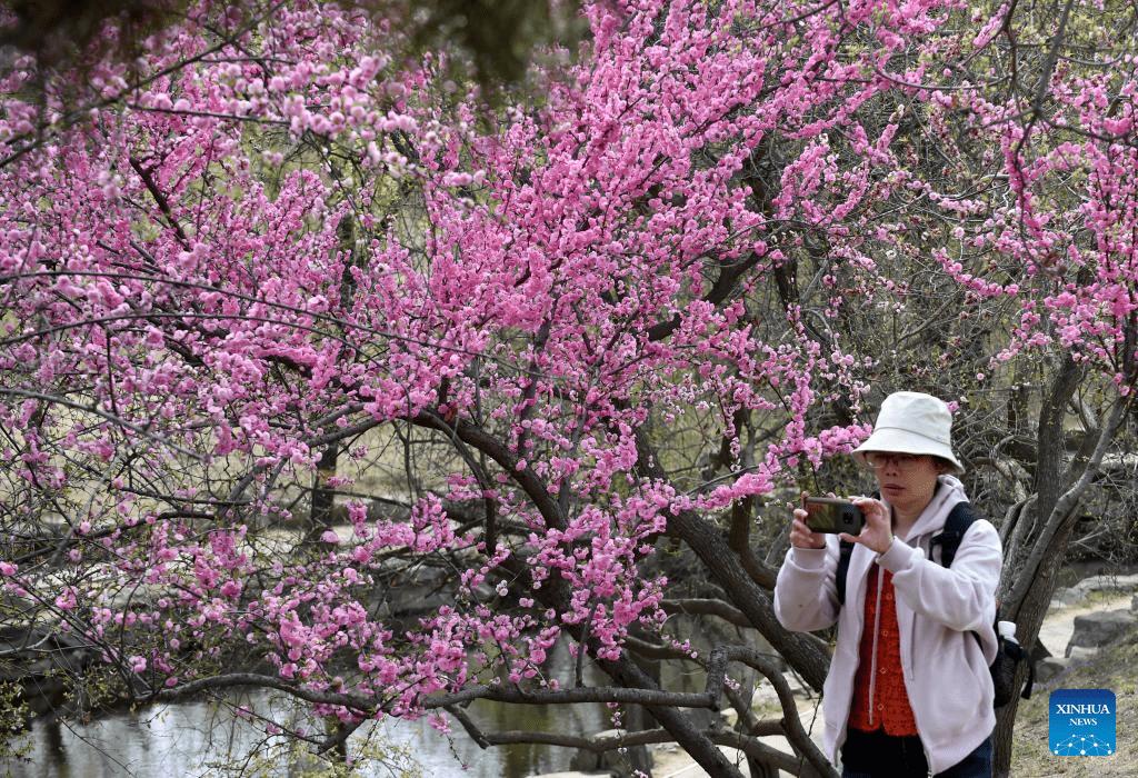 Tourists visit Yuanmingyuan Park in Beijing-1