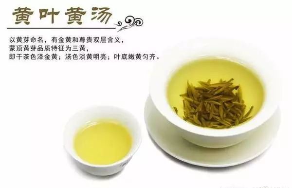 Introduction to Yellow Tea Varieties-2