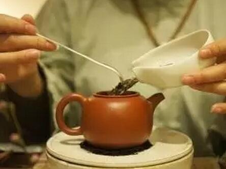 Why Can’t You Brew Tea Like Others?