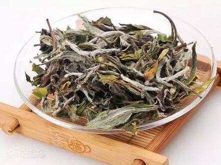 Ten Things About White Tea – How Many Do You Know?-1