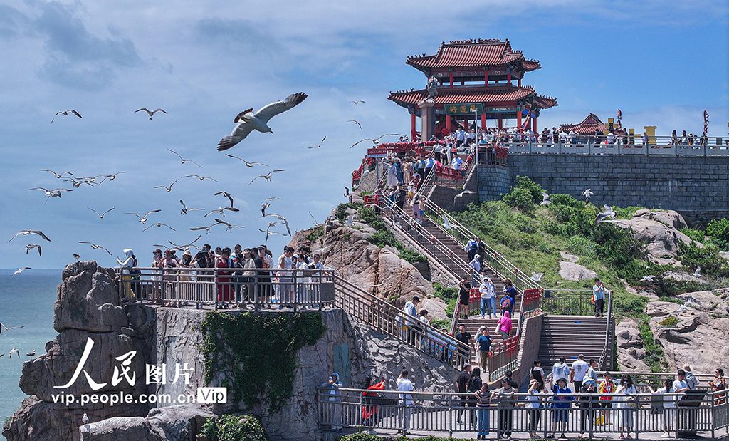 Black-tailed gulls attract visitors to east China's coastal city-1