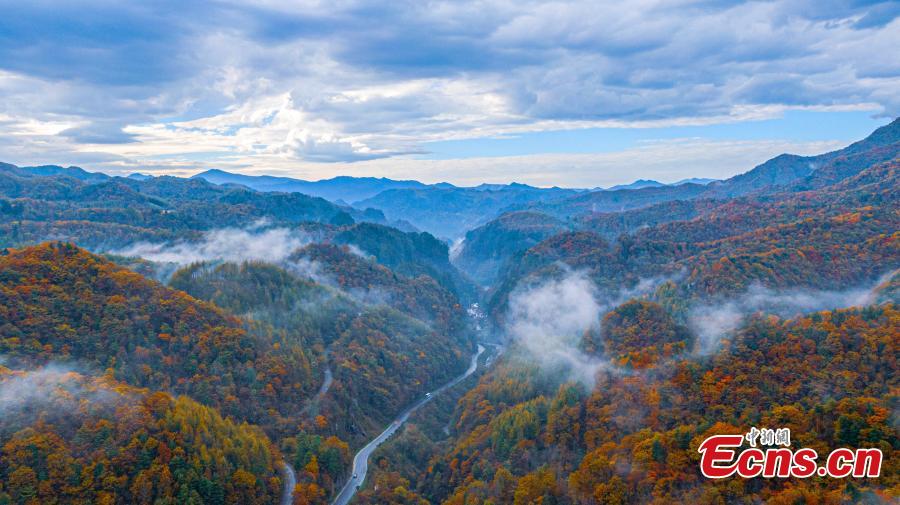 Fall colors paint Shengnongjia National Park-2