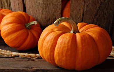 Pumpkin Recipes-1