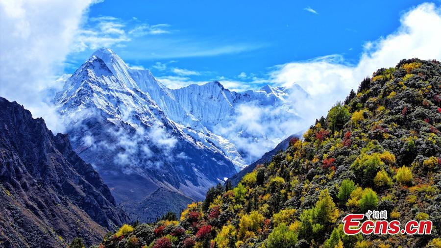 Lhari County in Tibet ushers into golden autumn-1