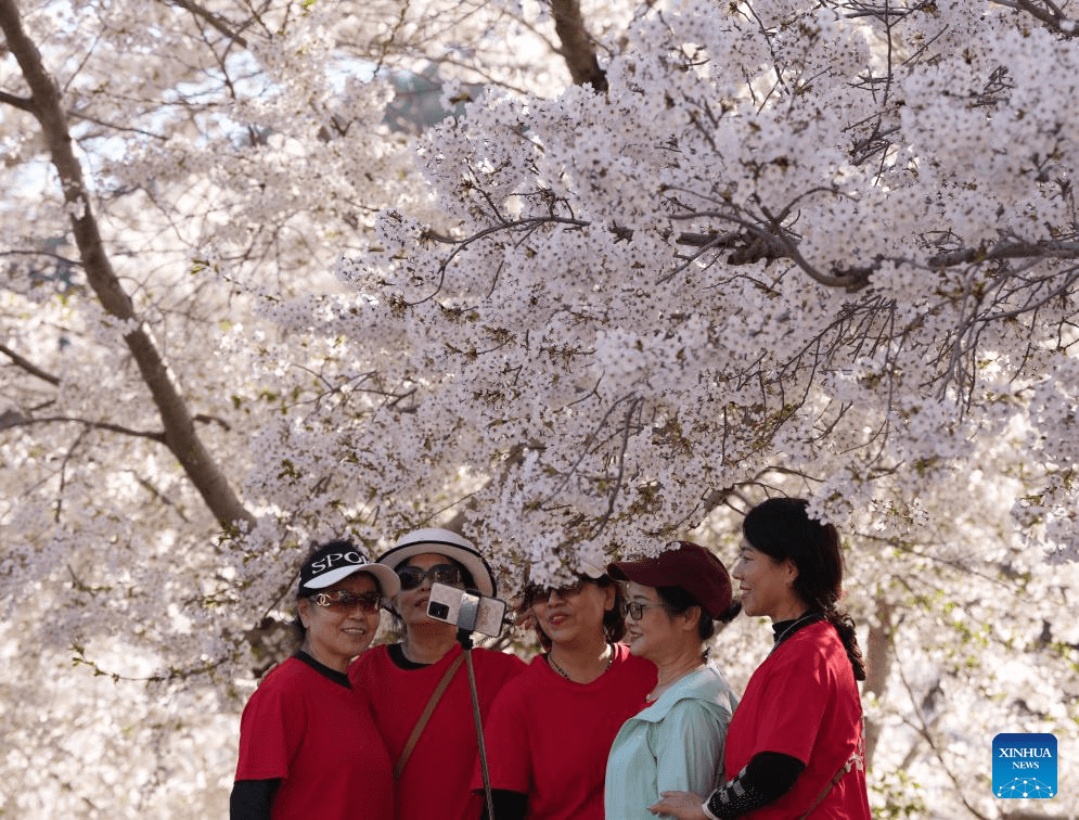 Tourists enjoy themselves in Dalian, NE China-3