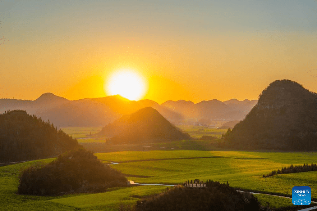 Cole flower fields draw visitors in SW China's Yunnan-7