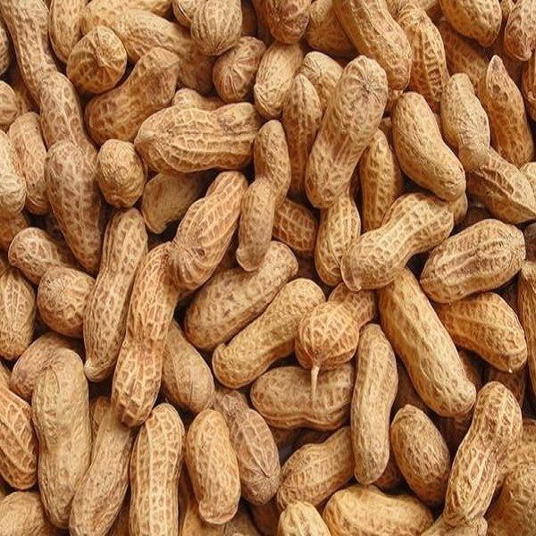 Baji Small Peanut-1