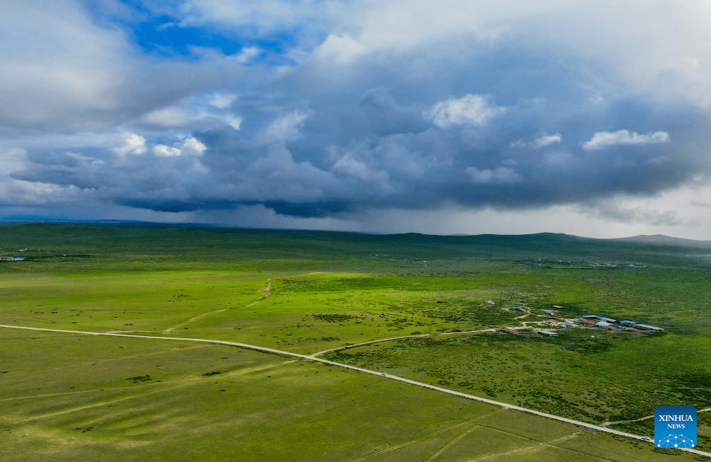 Scenery of grassland in north China's Inner Mongolia-7