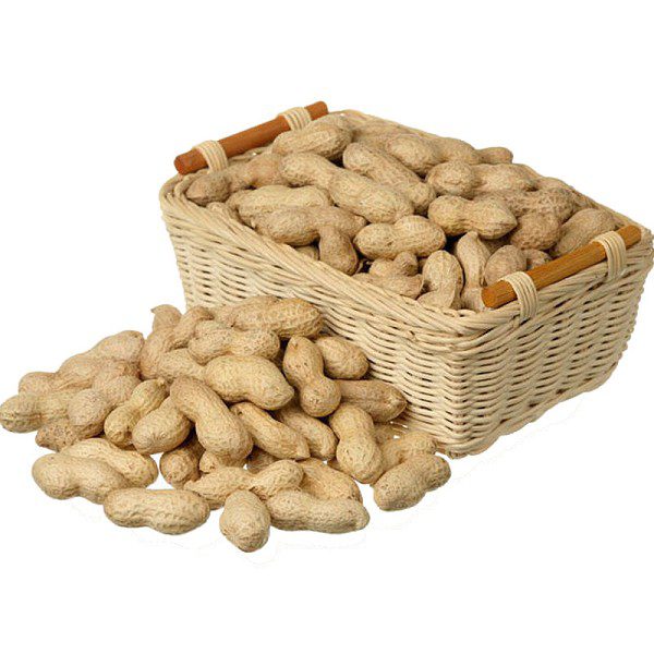 Wendeng Large Peanuts-1