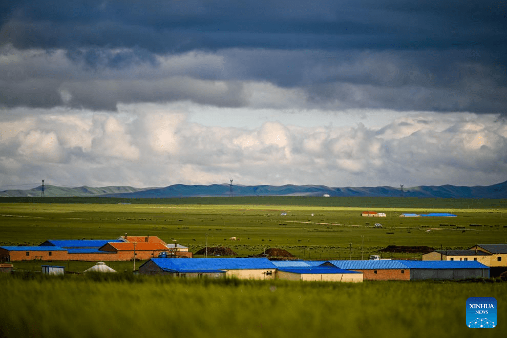 Scenery of grassland in north China's Inner Mongolia-6