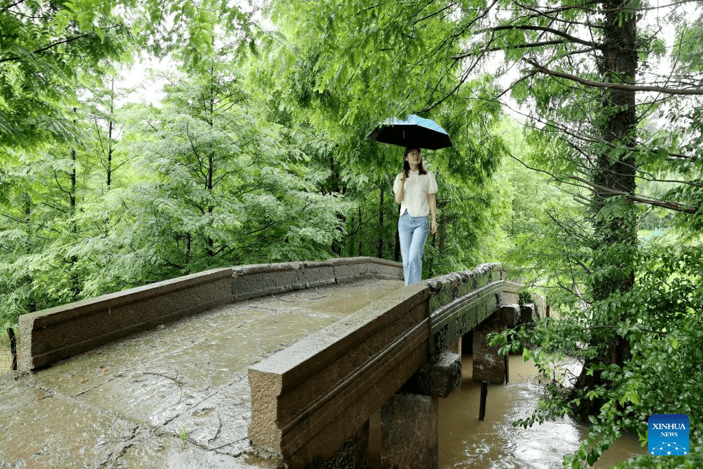 Ancient stone bridges under well protection in east China's Zhejiang-2