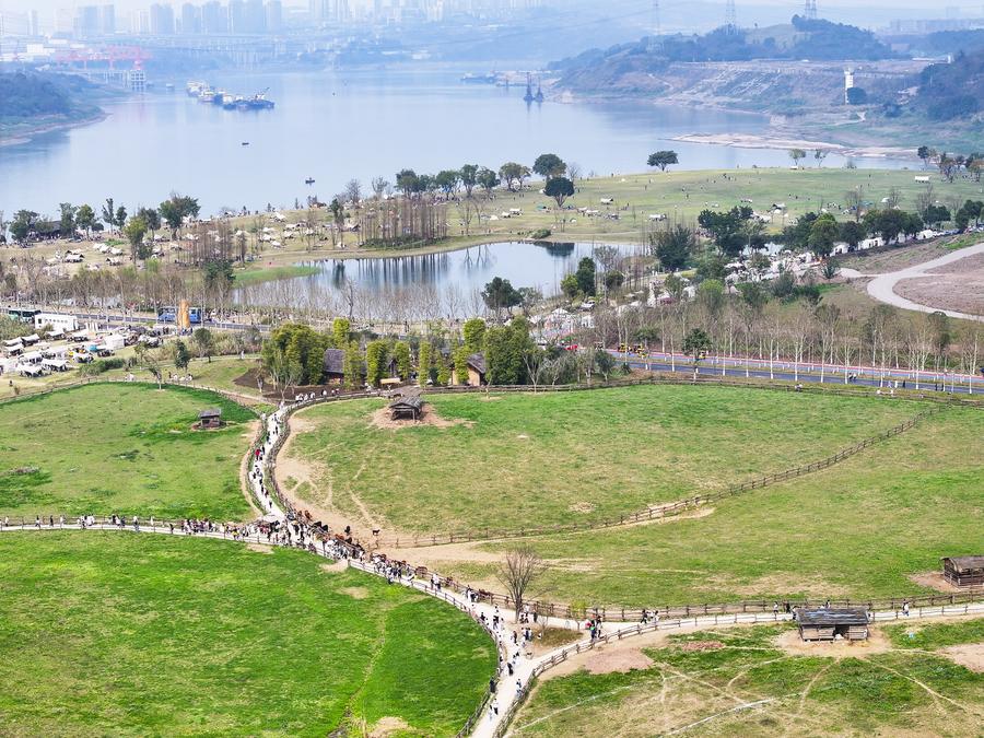 From threatened to thriving: the environmental restoration of Guangyang Isle in SW China-3