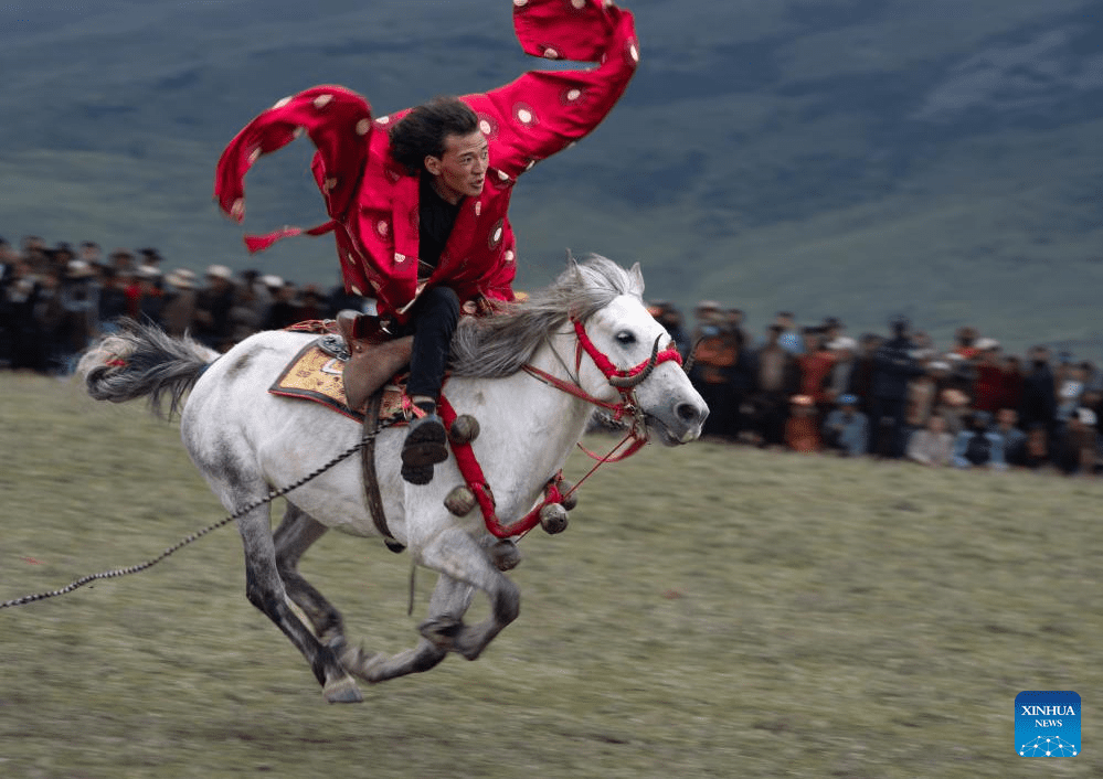 Horse racing event kicks off in SW China's Sichuan-8